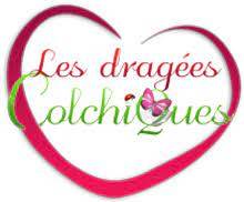 Boutique de dragées pour vos événements Aubagne dans les Bouches-du-Rhône Les Dragées Colchiques